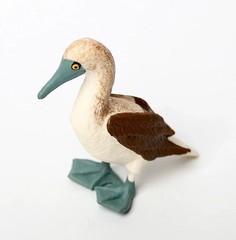 Gannet Bird Animal Toy PVC Action Figure Kids Toys Party Gifts