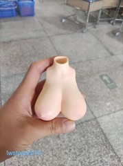 1:6 Pale Skin Normal Breast Bust Cover Model F 12” Female TBL PH Figure Body