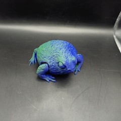 Rain Frog Articulated Figure 3D Printed Collectable Multi Color