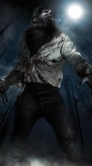 WOLFMAN FIGURE & THE WOMAN ~UNOPENED PLUS 8 WEREWOLF FILMS / SUPER SALE -$100.00