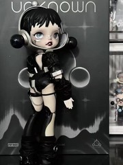 POP MART SKULLPANDA The Unknown 1/6 Collectable Action Figure Doll NEW BJD
