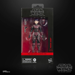Star Wars The Black Series Rook Kast Maul Shadow Lord Premium Collectible