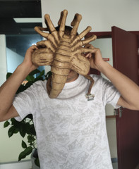 1:1 Scale Aliens Facehugger Life Size Foam Wacky Toy Model Cosplay Prop Replica