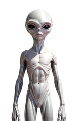 Grey Alien Figure 22cm Area 51 UFO Sci-Fi Statue 3D Statue Hand Painted