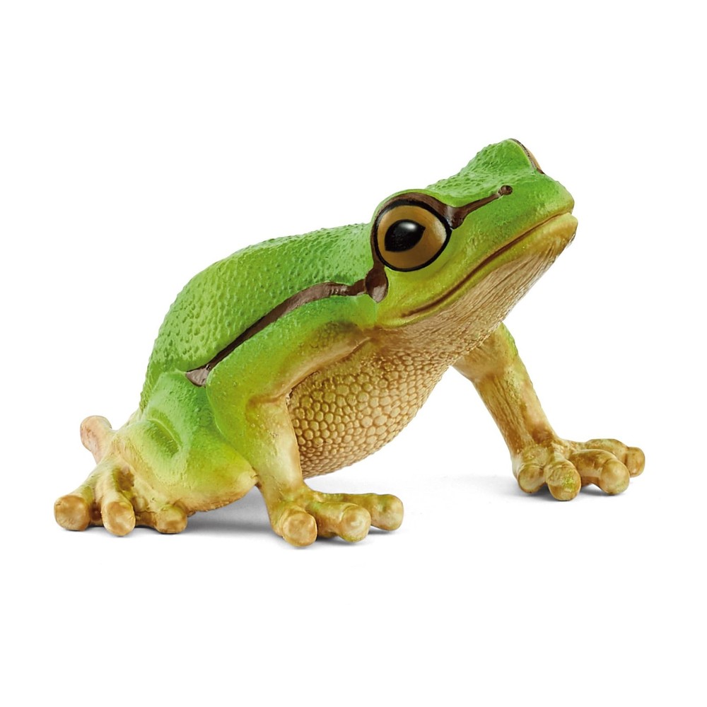schleich 14882 European Tree Frog, from 3 years WILD LIFE – Figurine, 4 x 5 x 3