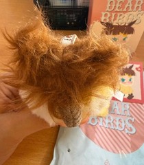 Pop Mart Dear Birds Series Plush Pendant Molly my sweet trouble-US FAST SHIPPING