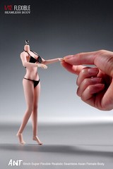 US 1/12 Female Seamless Action Figure Big Bust Pale Skin Body For 6″Soldier Head