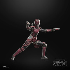 Star Wars The Black Series Rook Kast Maul Shadow Lord Premium Collectible