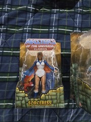 MOTU Adult Collector toys