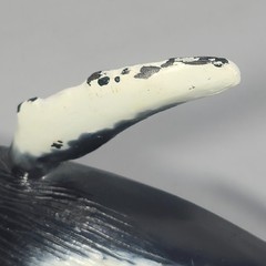 VTG Safari LTD 1991 Monterrey Bay Sea Aquarium Humpback Whale 15” Solid Rubber