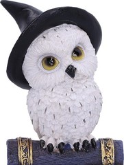 Nemesis Now Avian Spell Owl Figurine Purple 12.5cm, Resin, Blue Avian Spell Figu