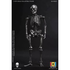 101TOYS NO.ES001/2 Palm Elf Series Skeleton Body 1/12 Action Figure Collectible