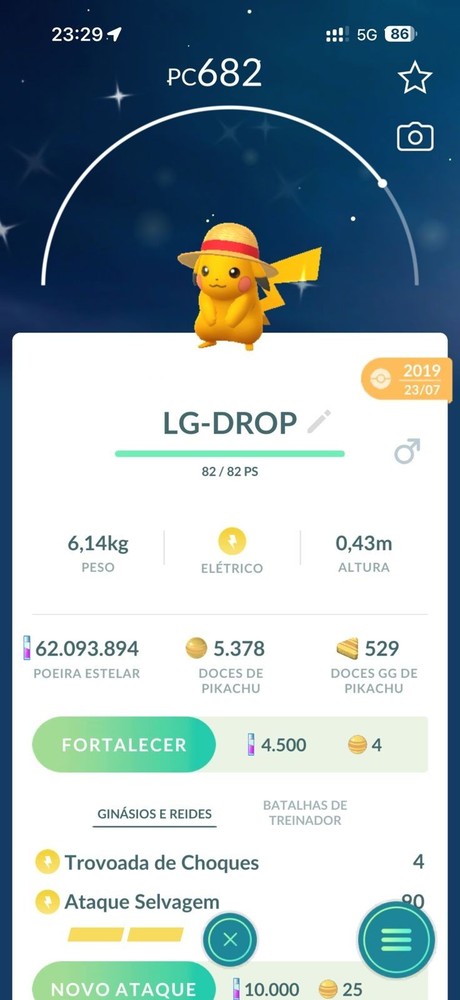 Shiny Pikachu Straw Hat One Piece Guaranteed Lucky Pokémon GO Gender your Choice