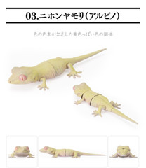 Creature Encyclopedia Japanese Gecko & Bearded Dragon Set of 5 Bandai Gashapon