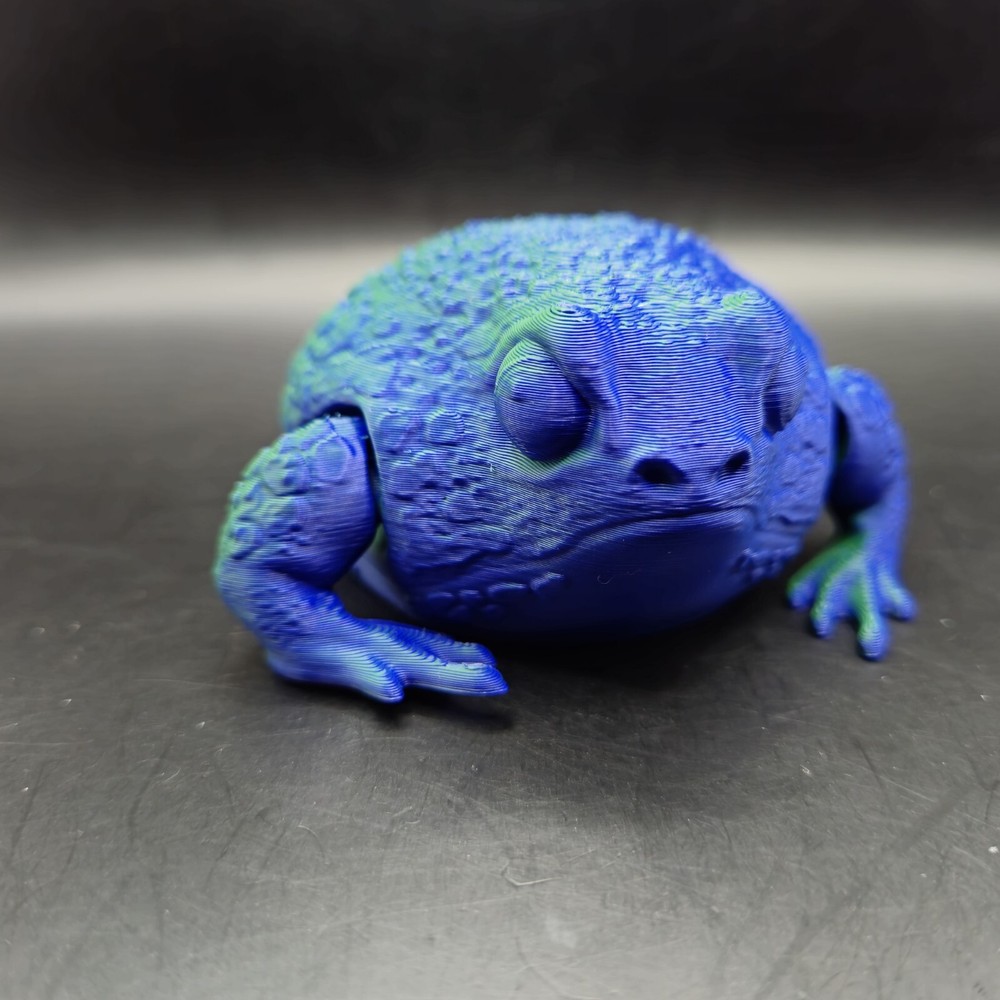 Rain Frog Articulated Figure 3D Printed Collectable Multi Color