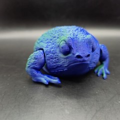 Rain Frog Articulated Figure 3D Printed Collectable Multi Color