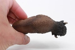 BISON BUFFALO 4.75″ Animal Figure – 2013 Schleich