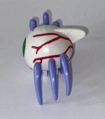 Spider Eyeball Action Figure Plastic White Body Purple Legs Red Veins Green Eye