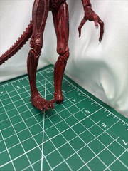 Aliens Genocide Xenomorph Alien Warrior Red Series 5 NECA Action Figure
