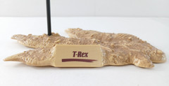 Vintage Resaurus Dinosaur Kings TYRANNOSAURUS REX Footprint Display Stand Part!