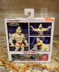 NECA Teenage Mutant Ninja Turtles TMNT Stump Arena Wrestling Ace Duck Figure NEW