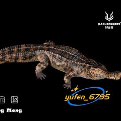 HAOLONGGOOD 1/35 Sarcosuchus Imperator Figure Crocodile Model Decor Gift Toys