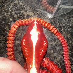 3D Printed King Cobra Snake 19.6″ Flexible Full Articulated Cobra Fidget Toy