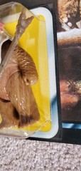 TRI-LOGO Vintage 1983 STAR WARS Return of the Jedi PAPLOO=Kenner 79 Back-Last 17