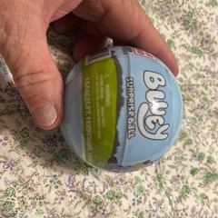 Bluey Surprise Ball- this includes 13 Bluey surprise balls.