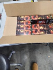 🔥Dungeons & Dragons Golden Archive Holga-8pk FACTORY SEALED🔥