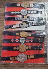 NJPW Super J Crown Title Belts WWE Mattel
