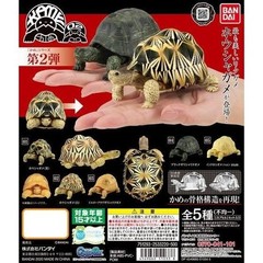 The Diversity of Life on Earth Turtle 01, 02 & 05 Figure Bandai Capsule Toy