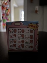 Multicolor Panda Bear Figure Mystery Blind Box