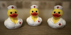 Nurse Duck – Ducking Gift – Cruises – Collectibles