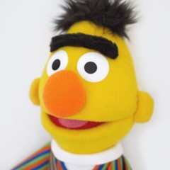 GUND Sesame Street Bert 14″ Plush Soft Kids Toy New in Poly Bag Surface-washable