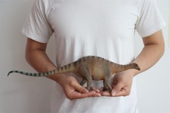 PNSO Lingwulong 63 Model Jurassic Dinosaur Animal Collections Figure Toys Gift