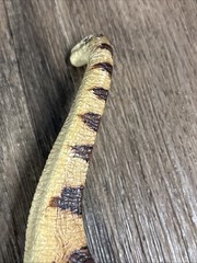Vintage Schleich Brachiosaurus Dinosaur Figure Toy Brown Beige 2002 6.5” F1