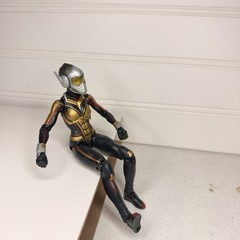 Marvel Legends Ant-Man: Quantumania Marvel’s Wasp (Cassie Lang) Figure 2023