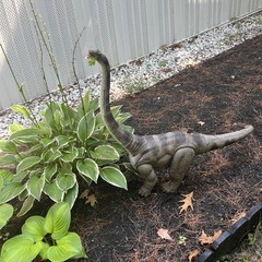 Jurassic World Hammond Collection Brachiosaurus