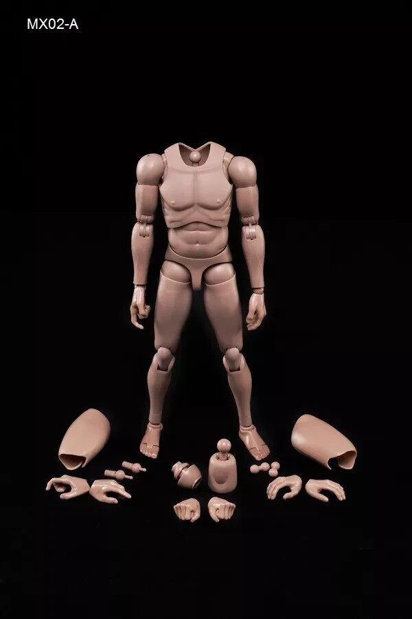 US 1/6 Standard Muscle Male Body Model Toy Fit 12″ Action Figure Head MX02-A