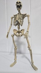 101TOYS NO.ES002 Palm Elf Series Skeleton Body 1/12 Action Figure Collectible
