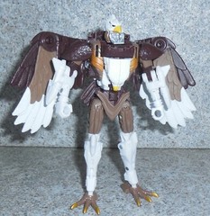 Transformers Kingdom SKYWARP War For Cybertron Beast Wars