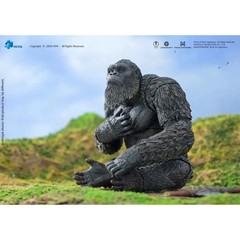 Kong Godzilla v. Kong The New Empire Hiya Toys Exquisite Basic Action Figure