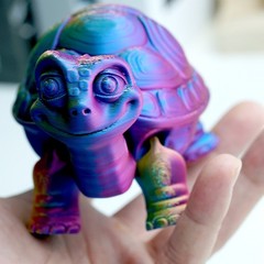 3D Printed Tortoise Model,Articulated Animals figure,Fidget Toys Home Decor