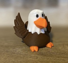 American Eagle Duck