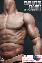 ZC Toys 1/6th Muscular Flexibl Male Figure Body Fit 12″ Hot Toys Head Sculpt Toy