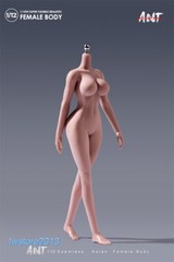 US ANT 1:12 Suntan Large Bust Plump Hip Girl 6″ Female Action Figure Body Toys