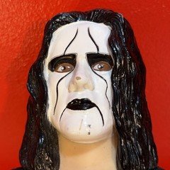 VINTAGE 1998 WCW STING WRESTLING STEVE BORDEN 19 In