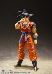 Bandai S.H.Figuarts Son Goku The Saiyan Grew Up on Earth Dragon Ball Z Super SHF