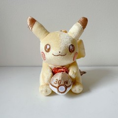 Pokemon 30th Anniversary Pikachu Plush Mascot Set Pika Pika Japan Pokemon Center